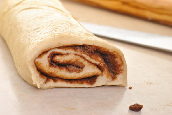 zawijaniec cynamonowy